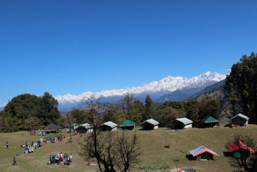 Magpie Jungle Camp_2